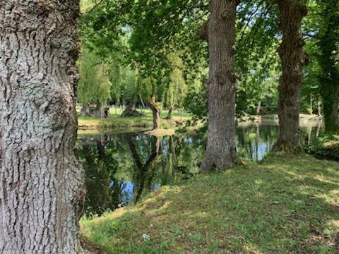 La Demeure Romantique Bazouges-sous-Hede Eksteriør billede