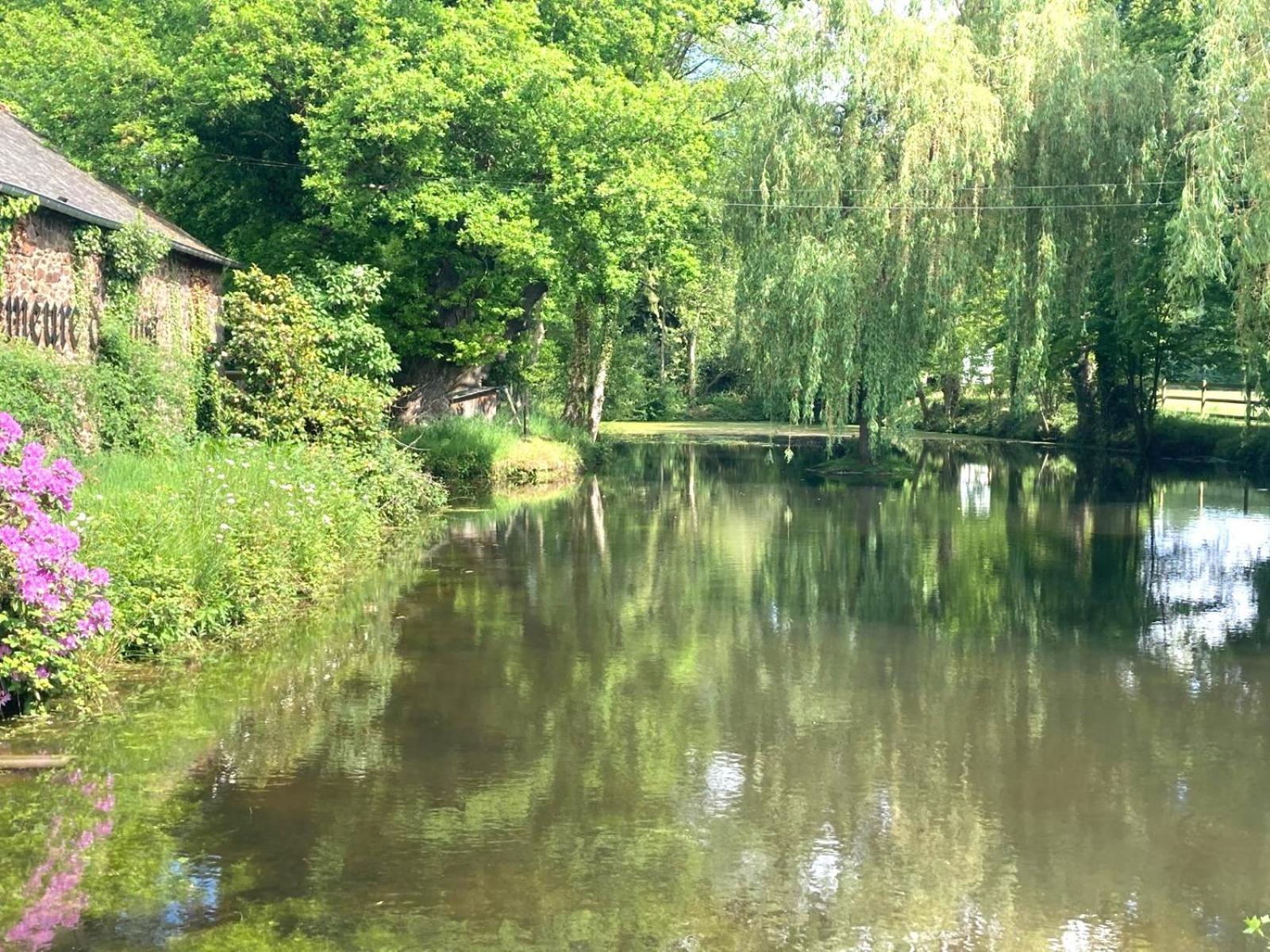 La Demeure Romantique Bazouges-sous-Hede Eksteriør billede